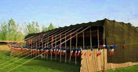 عکس سیاه چادر عشایر