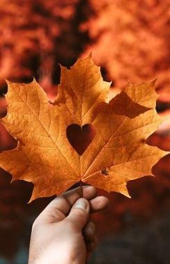 عکس نوشته غم داداش