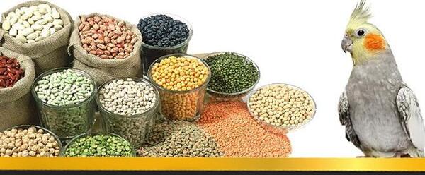 عکس نوشته غم داداش