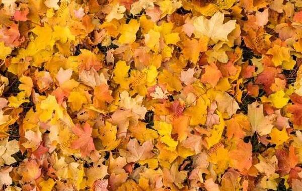 عکس نوشته غم داداش