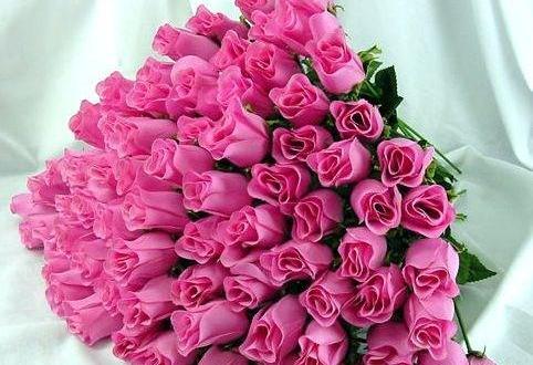 عکس برای روز پدر از طرف پسر