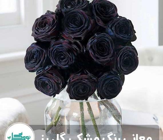 عکس گل پرپر غمگین