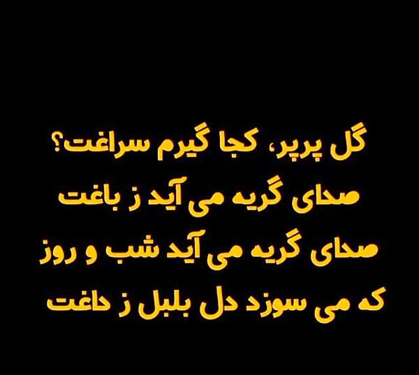 عکس گل پرپر غمگین