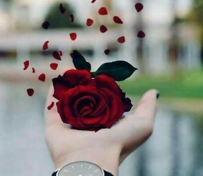 عکس پروفایل زیبا برای اینستاگرام