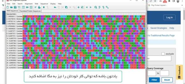 عکس گل اشک ملکه