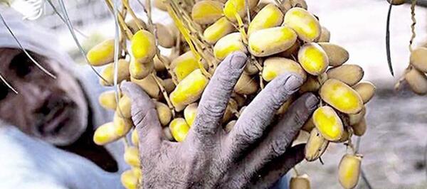 عکس گران قیمت ترین ماشین در ایران