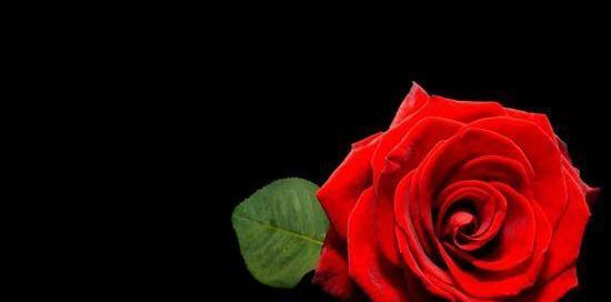 عکس نوشته چهارماه و ده روز گذشت