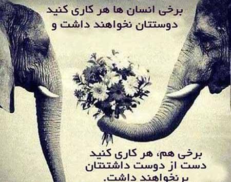 عکس پروفایل زیبا و بامعنی
