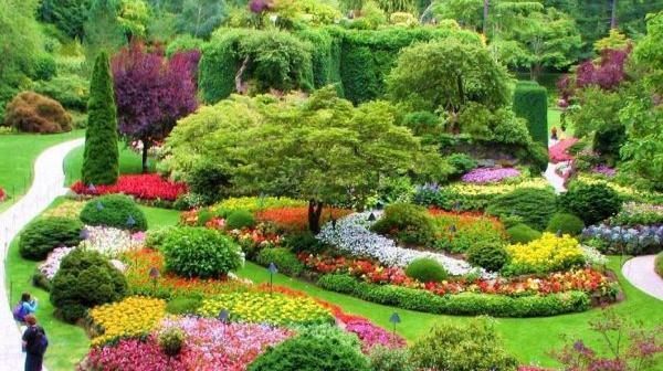 عکس پروفایل طبیعت زیبا بهار