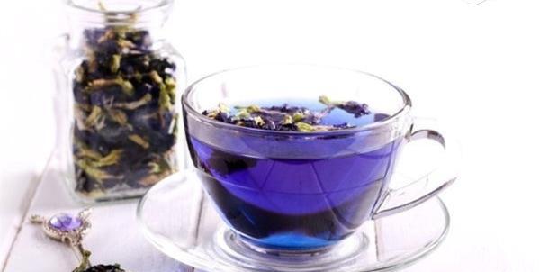 عکس گل گاو زبان کوهی