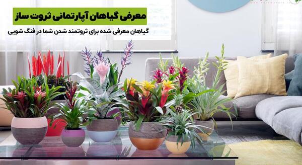 عکس گل خوشبختی