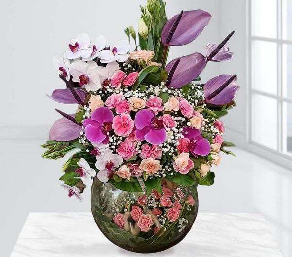 عکس گل خوشبختی
