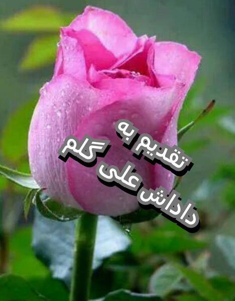 عکس داداش علی