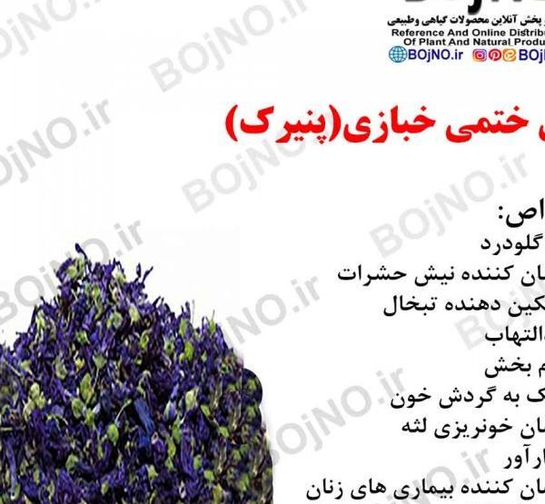 عکس گل ختمی و پنیرک