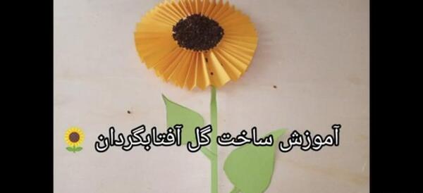 عکس گل آفتابگردان با مقوا