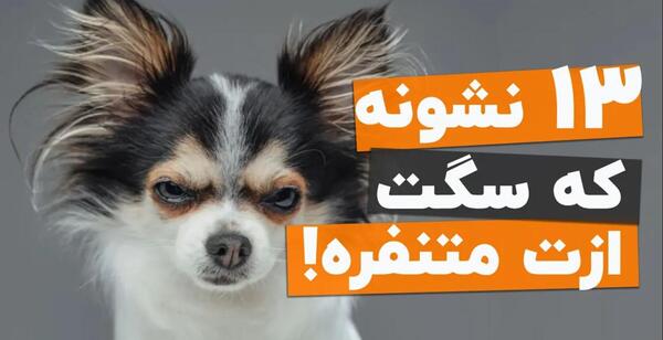 عکس لباس طوطی عروس هلندی