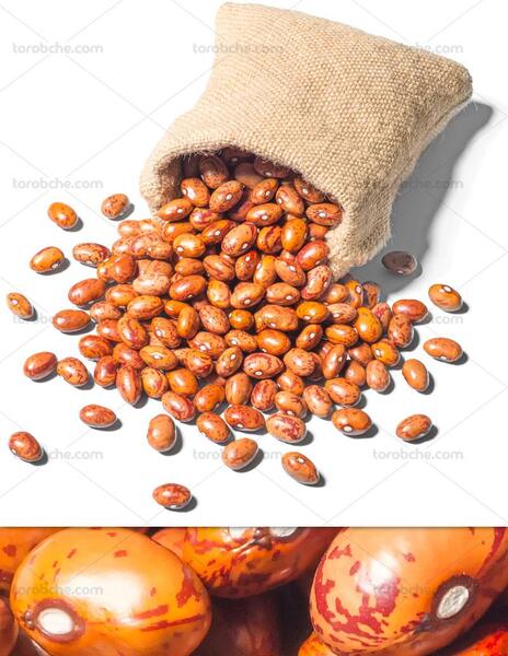 عکس لوبیا چیتی