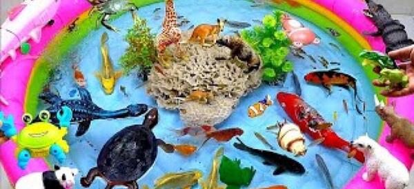 عکس مار ماهی ترسناک