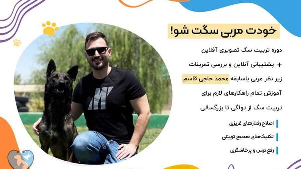 عکس نوزاد پامرانین