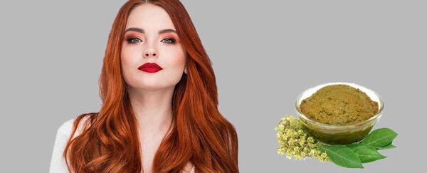 عکس حنای سیاه