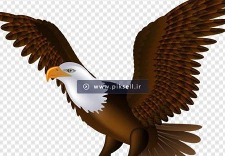عکس عقاب به صورت کارتونی