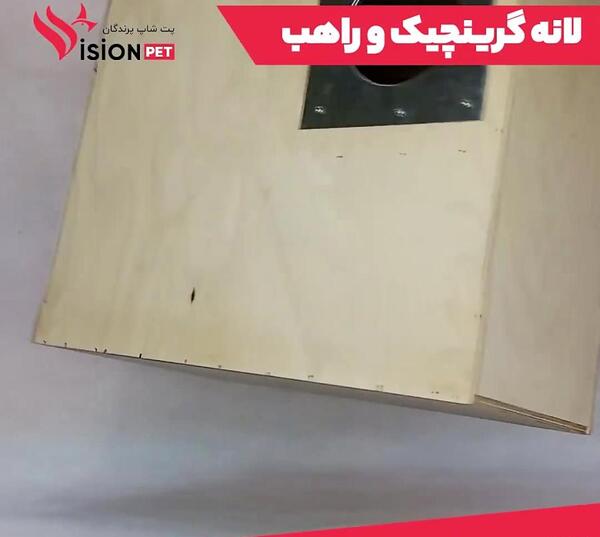 عکس طوطی گرینچیک نر