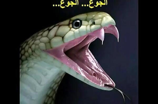 عکس مار جهنم