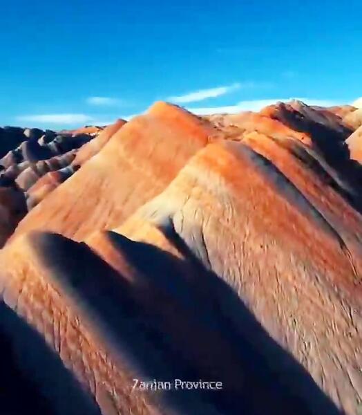 عکس عنکبوت های بزرگ