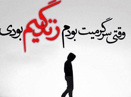 عکس عنکبوت صورتی
