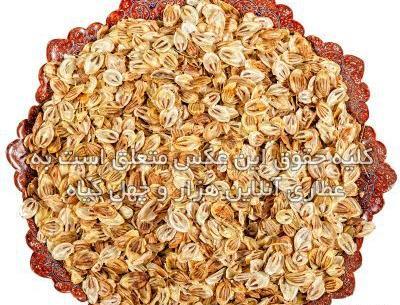 عکس سیاه دانه برای ترشی