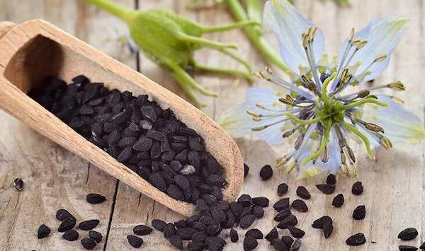 عکس سیاه دانه برای ترشی