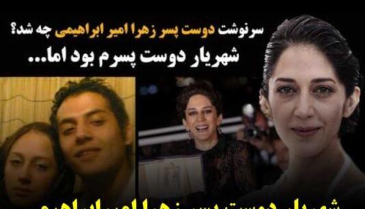 عکس عنکبوت مقدس حرم امام رضا