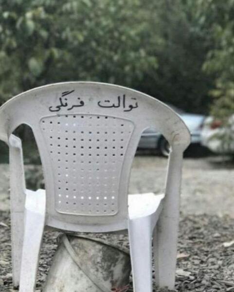 عکس میمون رو صندلی
