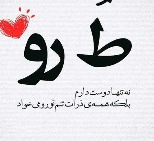 عکس میمون رو صندلی
