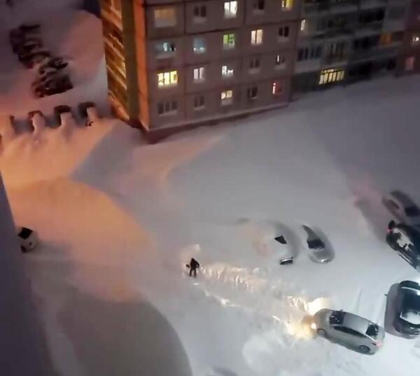 عکس عنکبوت کارتون
