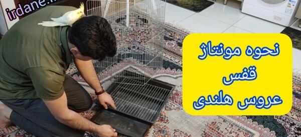 عکس قفس طوطی برزیلی