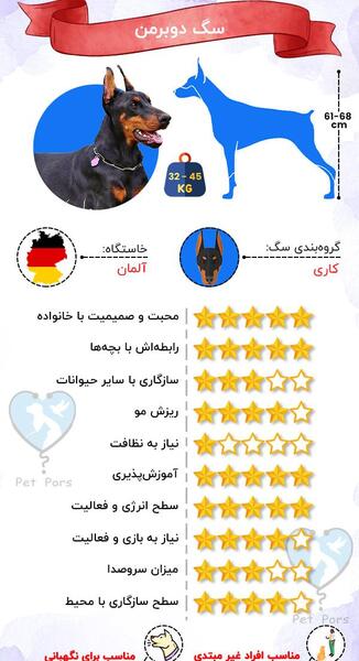 عکس سگ دوبرمن چهار چشم