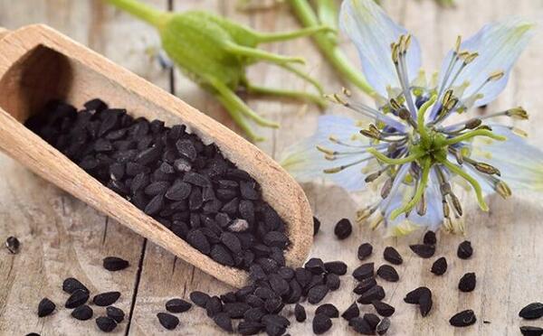 عکس سیاه دانه روغن