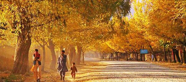 عکس های خزان