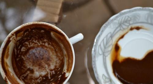 عکس طوطی در فال قهوه