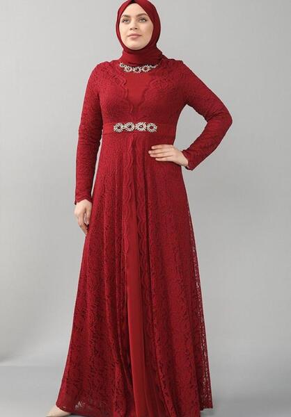عکس طوطی حرف بزنه