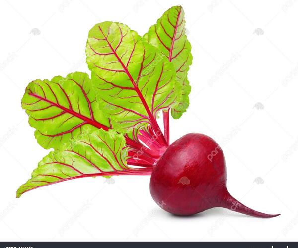 عکس چغندر