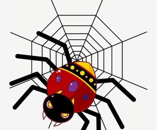 عکس عنکبوت فانتزی