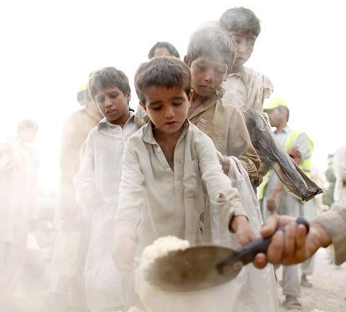 عکس عنکبوت از نزدیک