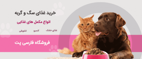 عکس توله سگ شیتزو عروسکی