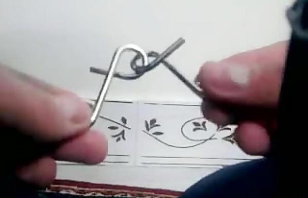 عکس عقاب تعادل
