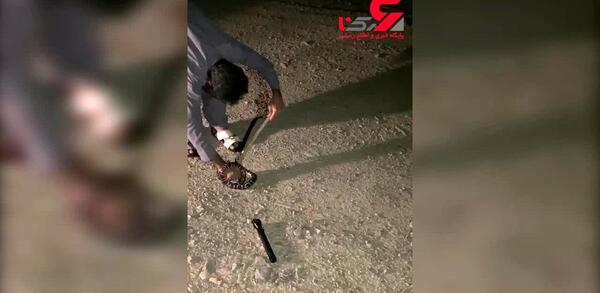 عکس سیاه مار بلوچستان