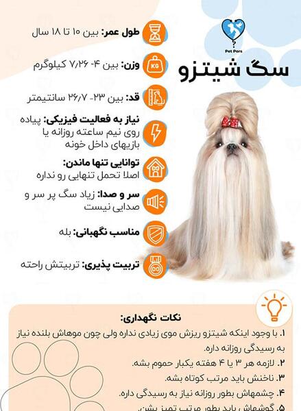 عکس انواع سگ های شیتزو