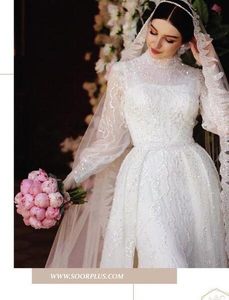 عکس طوطی هلندی سفید