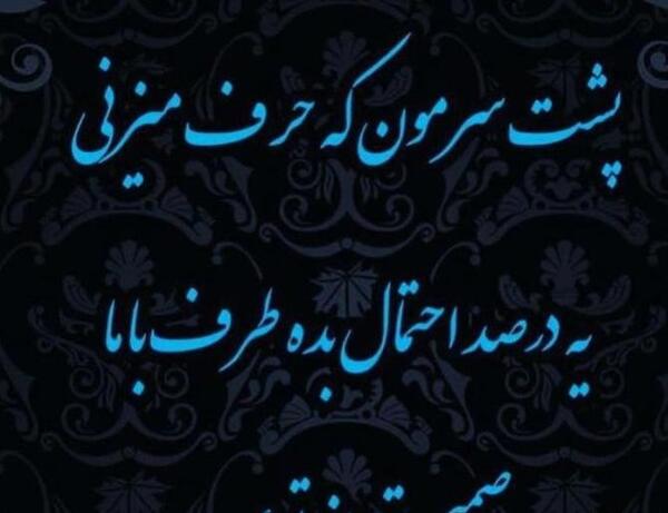 عکس سگ شیتزو مو بلند